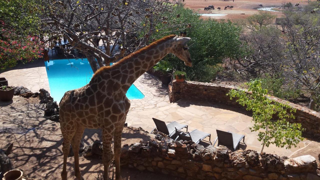 Okutala Etosha Lodge Outjo Exteriör bild
