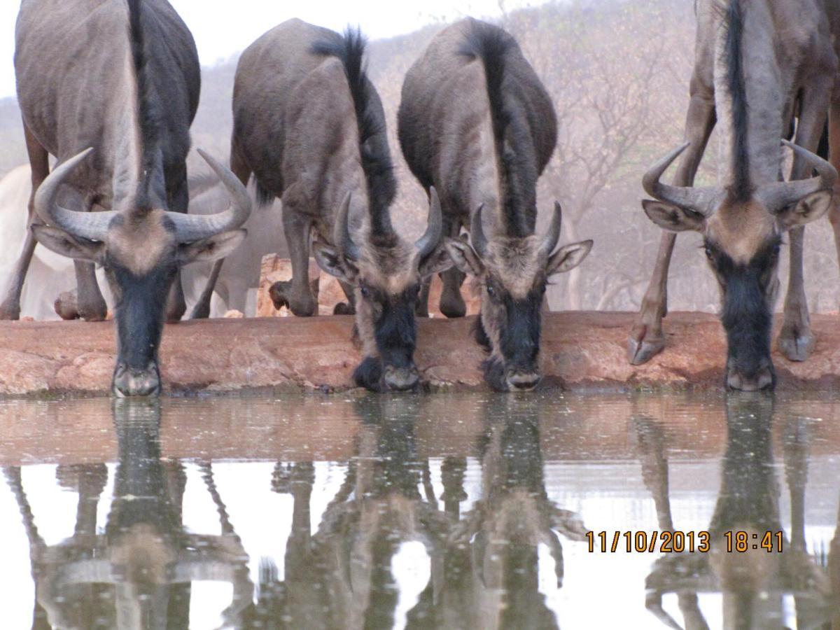 Okutala Etosha Lodge Outjo Exteriör bild