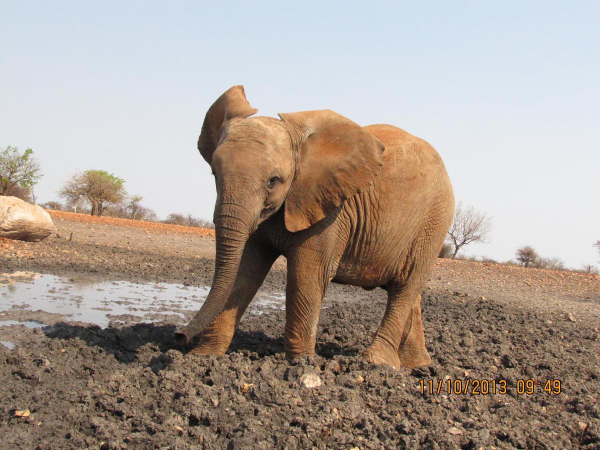Okutala Etosha Lodge Outjo Exteriör bild